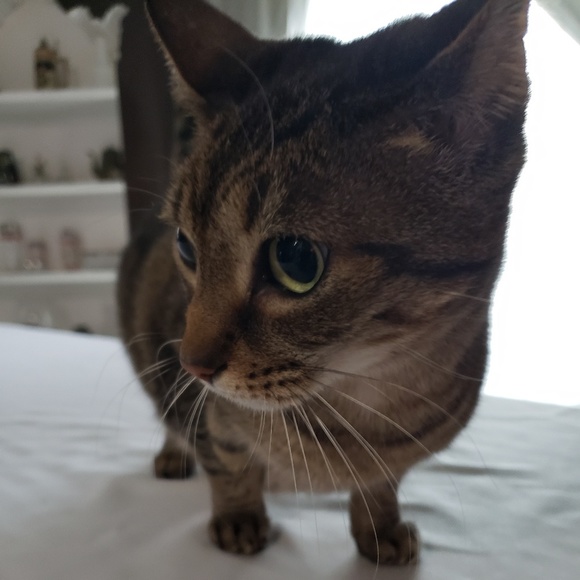 Meet your Posher, Adam - Picture 1 of 1